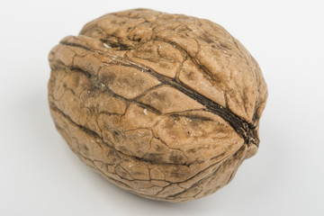 Fototapeta premium the nut on the hand