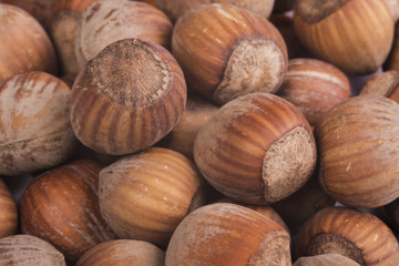 the nut on the hand