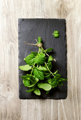 mint leaves  top view