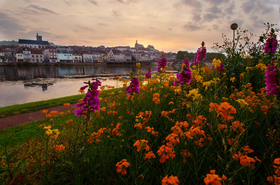 The flowers are on the shore of the river in the morning. France.