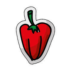 vegetarian product healthy food vector illustration design