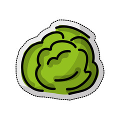 vegetarian product healthy food vector illustration design