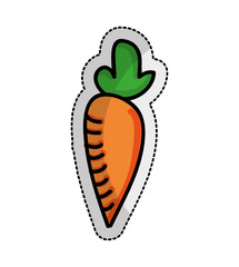 vegetarian product healthy food vector illustration design