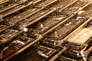 Shopping Carts