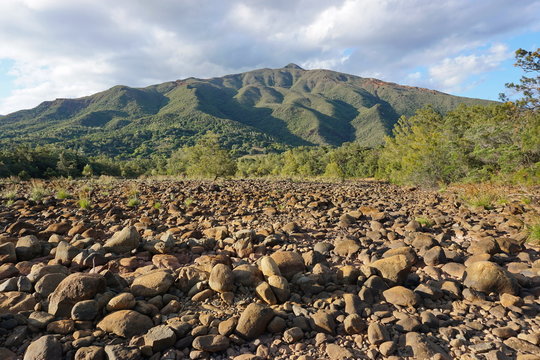Dry riverbed with rocks and a mountain in background, New Caledonia, Dumbea river, Grande Terre island, south Pacific
