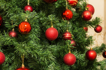 Fototapeta na wymiar Chrisrmas tree and red ornaments
