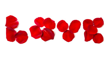 Love of rose petals isolated on white