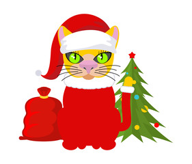Christmas Cat. Pet in Santa Claus hat. Red bag with gifts. New Y