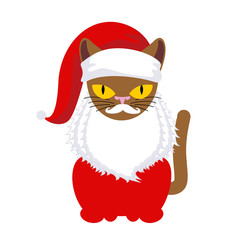 Cat Santa. Pet in Christmas cap. New Year illustration. Xmas tem