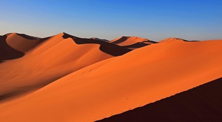 Plakat Beautiful sand dune in africa