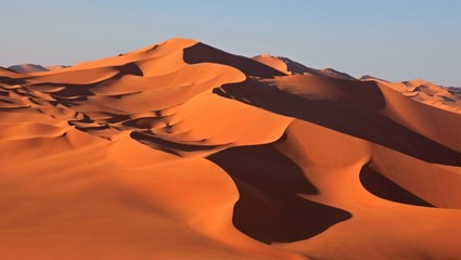 Fototapeta na wymiar Beautiful sand dune in africa