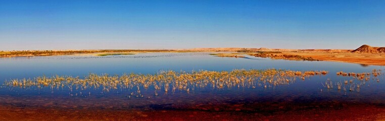 Beautiful lake in Africa - Oasis