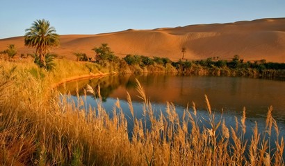 Beautiful lake in Africa - Oasis