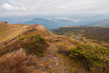 Autumn mountain landscape with yellowed grass. Carpathians