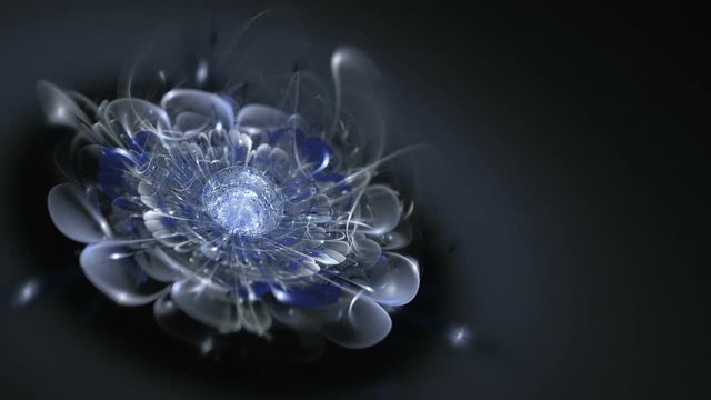Abstract blue flower rotation with gradient background. Seamless loopable. HD video clip. 