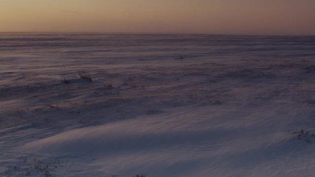 Slow motion - Scenic snow blowing over tundra at sunset