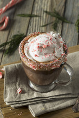 Homemade Peppermint Hot Chocolate