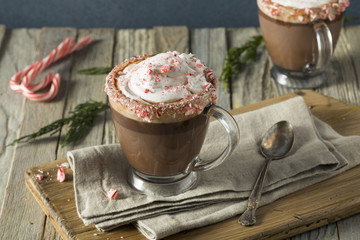 Homemade Peppermint Hot Chocolate
