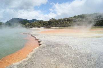 champagne pool