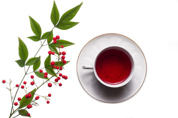 Rooibos tea