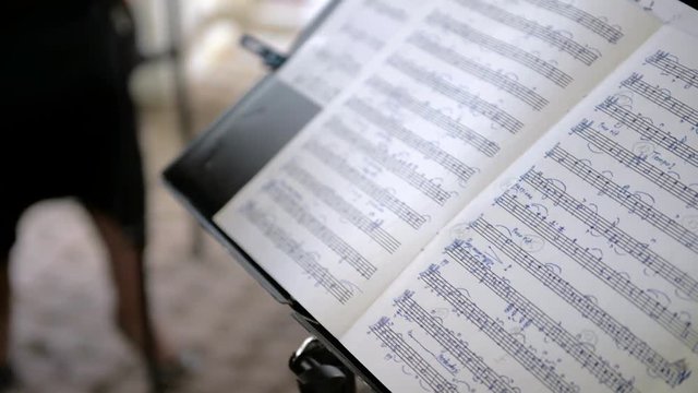 violin, cello, note, music, arkestr