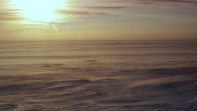 Fierce wind blows snow across tundra at golden sunset