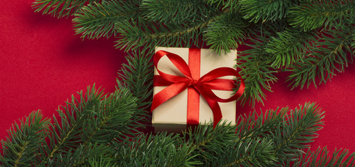 Fototapeta na wymiar Gift and branches of Christmas tree