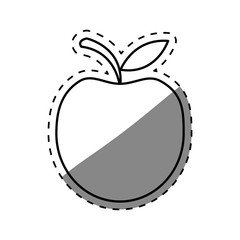 Delicious apple fruit icon vector illustration graphic design