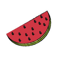 Fresh watermelon fruit icon vector illustration graphic design