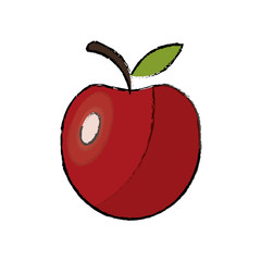 Delicious apple fruit icon vector illustration graphic design