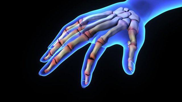 Index Finger Movement