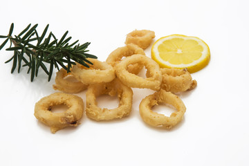 calamari a rondella fritti su fondale bianco