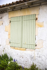 Closed pale green wooden window shutters.