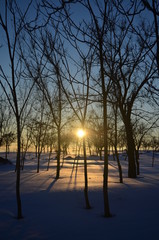 Charming sunset in snowy forest