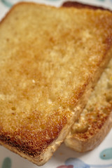 Slices of toasted salt-rising bread