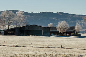 Fototapeta na wymiar Bauernhof an einem Wintermorgen