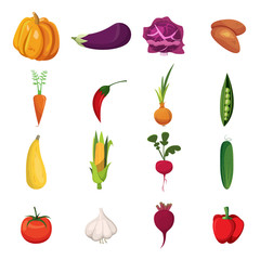Vegetables Icon Set