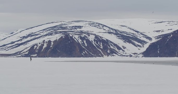 Tourist at edge of sea ice with snowy arctic mountains
