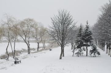 Fototapeta na wymiar Snow in Central Park