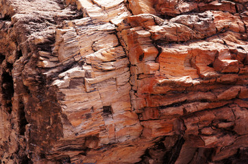 Petrified-Forest-National-Park, Arizona, USA