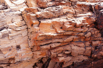 Petrified-Forest-National-Park, Arizona, USA
