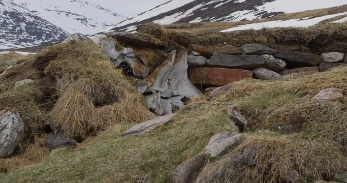 Ruin of thule encampment on baffin island tundra