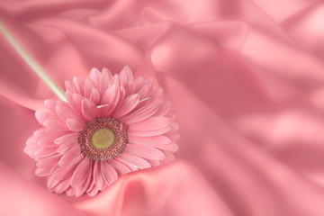 One gerbera flower on a background from fabric