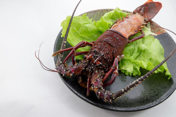 伊勢えびのお造り