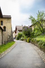 Fototapeta na wymiar street of mountain village of Romainmôtier-Envy - Switzerland