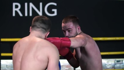 Boxer making hook punch, knockout opponent falls down HD slow motion close-up video. Blows to head on fight ring