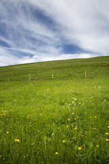 landscape of Jura mountain with blooming green meadow, Switzerland