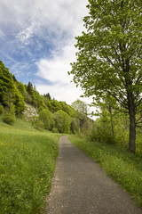 Fototapeta na wymiar landscape of Jura mountain with blooming green meadow, Switzerland
