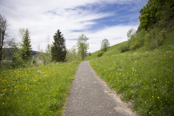 landscape of Jura mountain with blooming green meadow, Switzerland