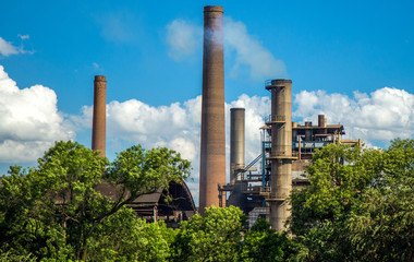 Obraz premium cana de açucar